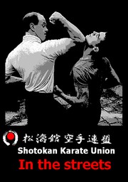 SKU SHOTOKAN IN THE STREETS Shotokan Karate Union 松涛館 空手連盟